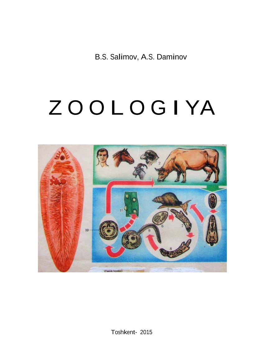 Zoologiya