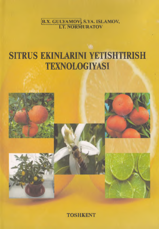Sitrus ekinlarni yetishtirish texnologiyasi