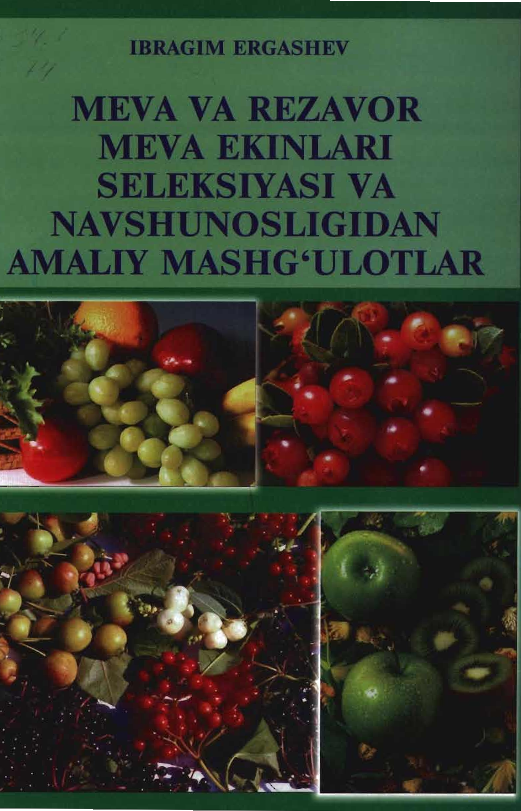 Meva va rezavor meva ekinlari seleksiyasi va navshunosligidan amaliy mashg`ulotlar 