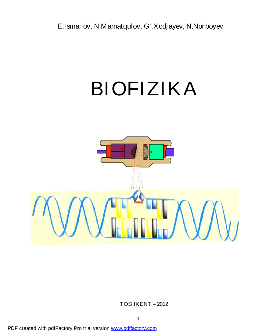 Biofizika