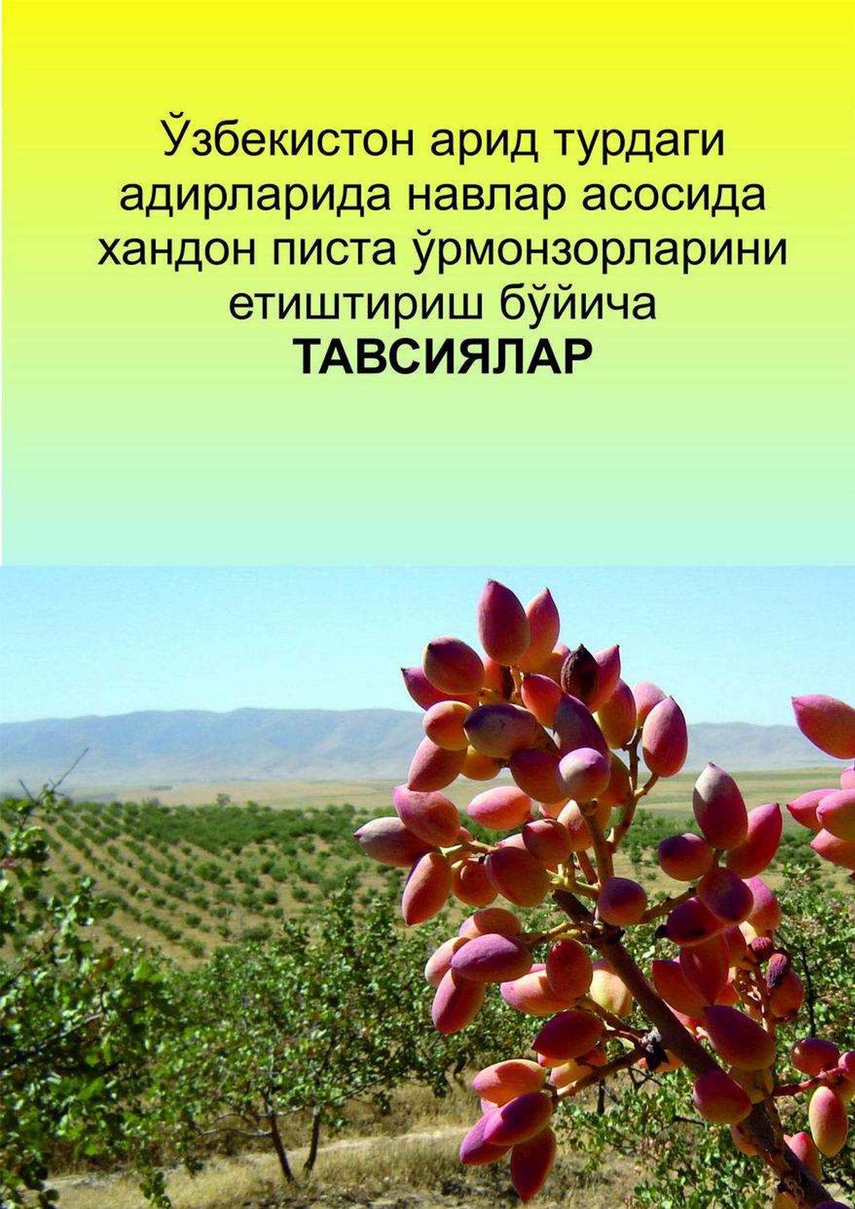 O`zbrkiston arid turdagi adirlarida navlar asosida xandon pista o`rmonzorlarini etishtirish bo`yicha taxsiyalar (крилл)