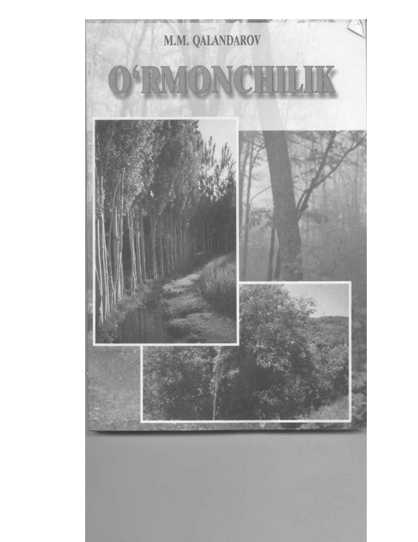 O`rmonchilik