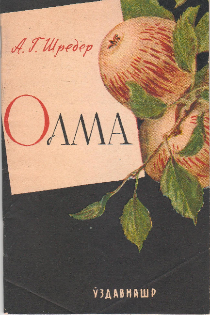 Olma (крилл)