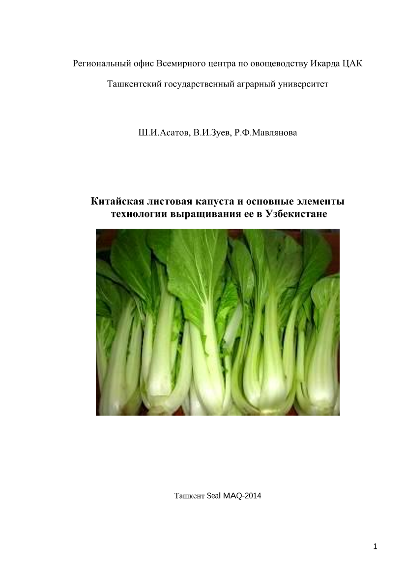 Китайская листовая капуста и основные элементы технология выращивания её в Узбекистане