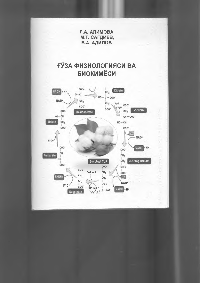 G`o`za fzologiyasi va biokimyosi