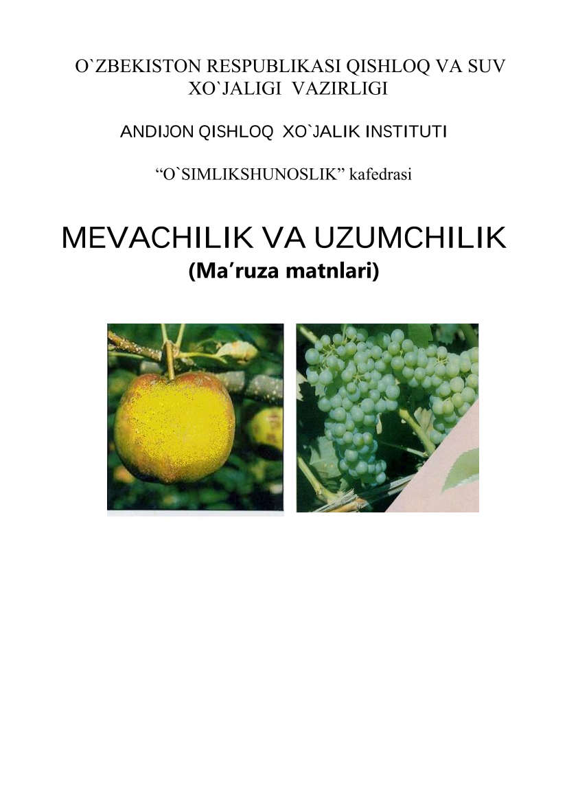 Mevachilik asoslari