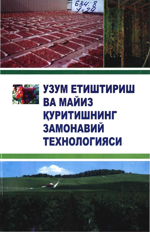 Узум етиштириш ва майиз қуритишнинг замонавий технологияси