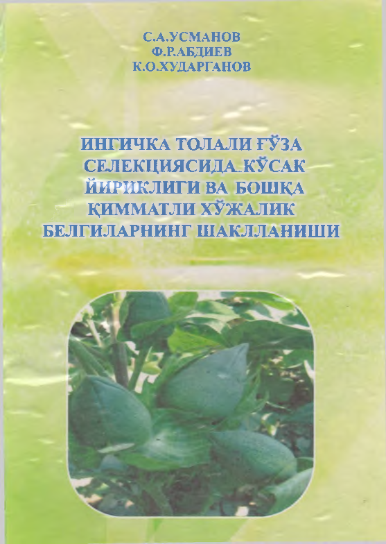 Ингичка толали ғўза селекциясида кўсак йириклиги ва бошқа қимматли хўжалик белгиларининг шаклланиши