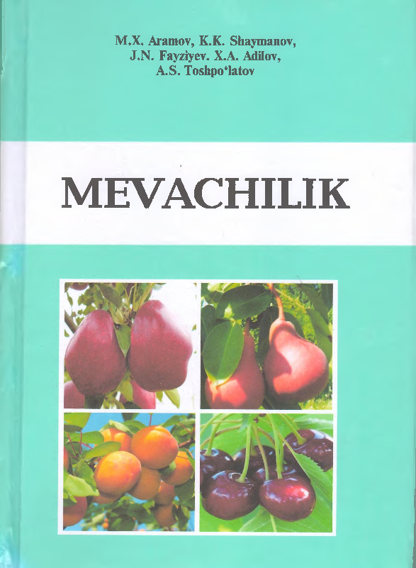 Mevachilik