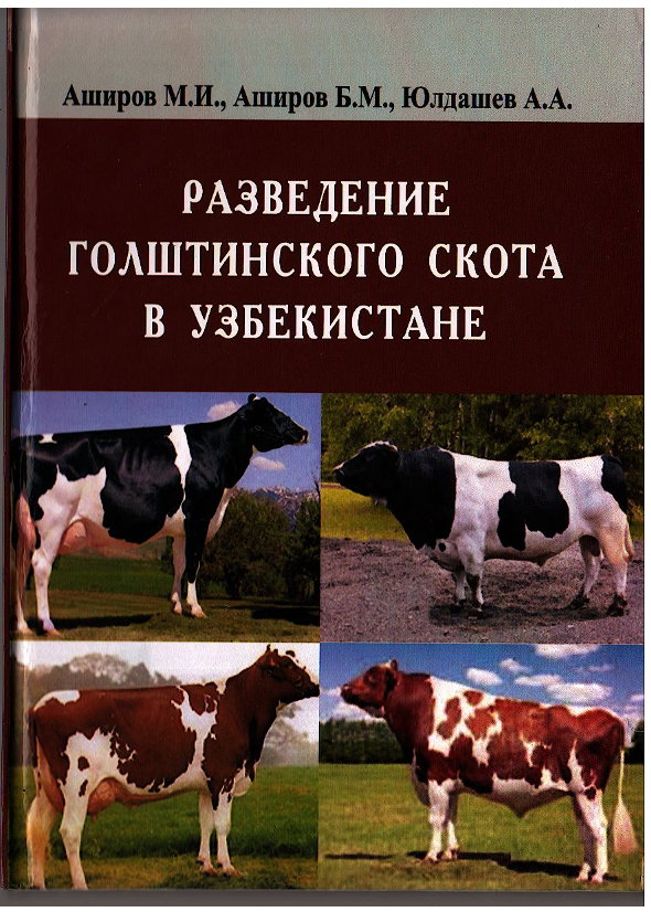 Разведение голштинского скота в Узбекистане