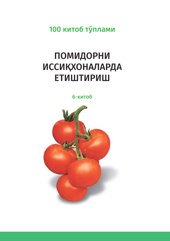 Помидорни иссиқхоналарда етишириш