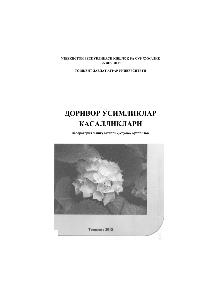 Доривор ўсимликлар касалликлари