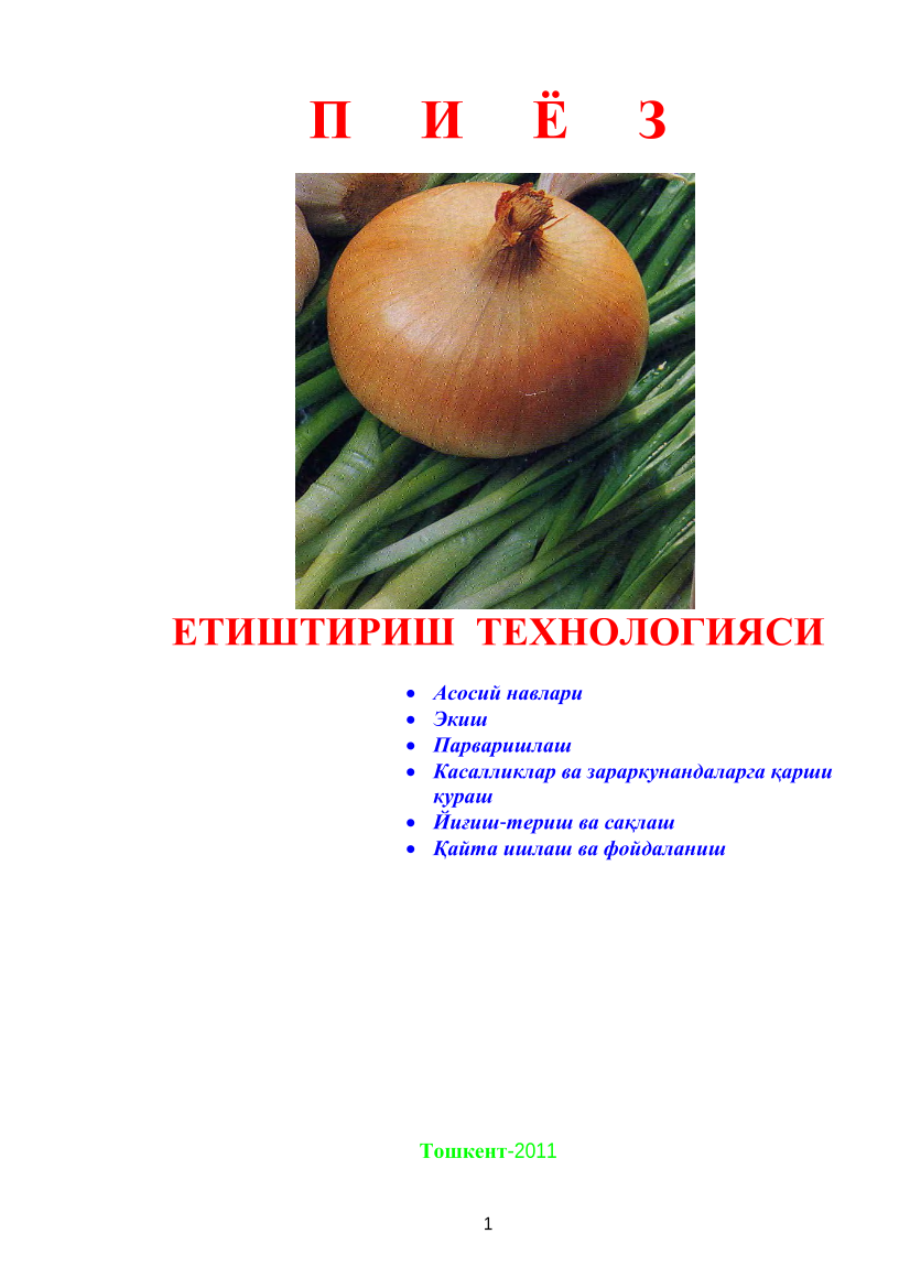 Пиёз етиштириш технологияси