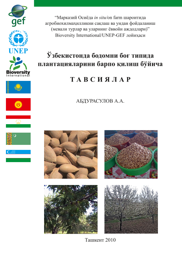 Ўзбекистонда бодомни боғ типида плантацияларини барпо қилиш бўйича Тавсиялар