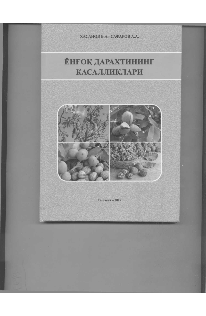 Ёнғоқ дарахтининг касалликлари