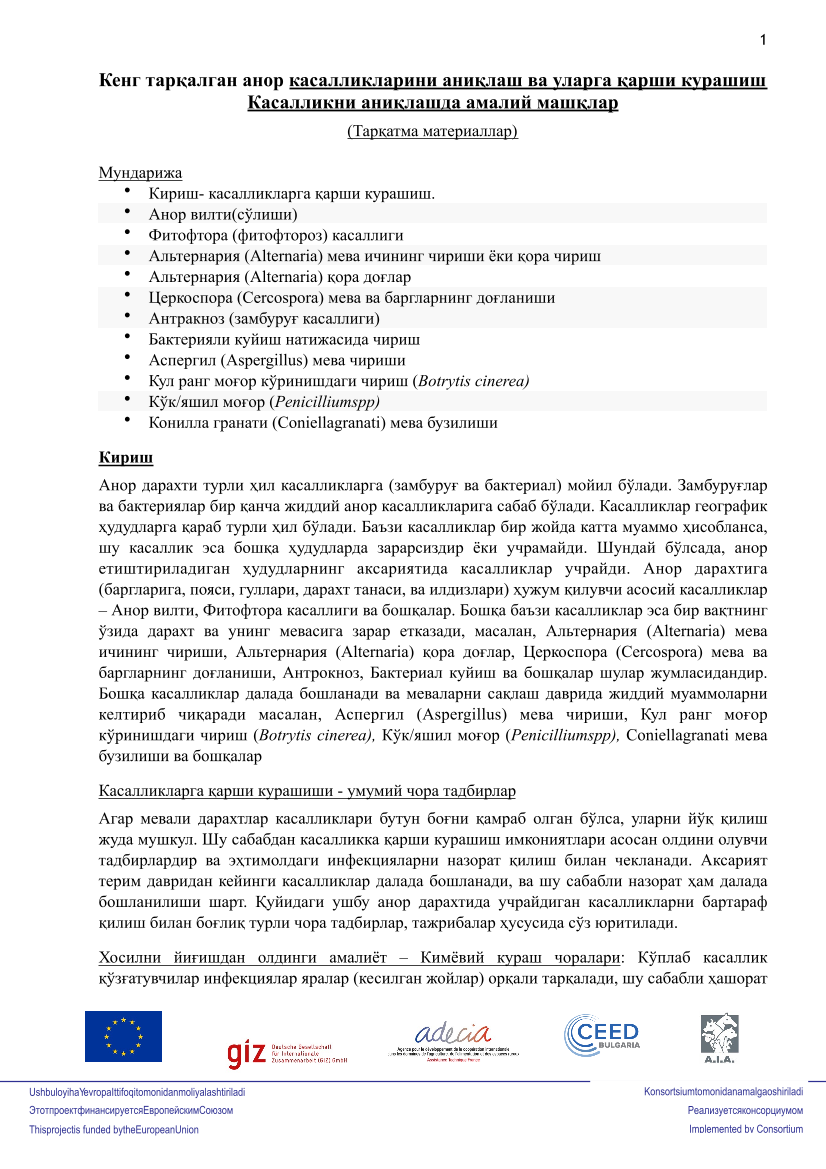 Кенг тарқалган анор касалликларини аниқлаш ва уларга қарши курашиш Касалликни аниқлашда амалий машқлар 