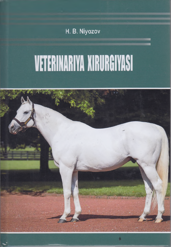 Veterinariya xirurgiyasi